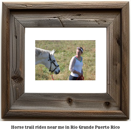 horse trail rides near me in Rio Grande, Puerto Rico